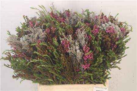 <h4>Erica Bqt Cape Mix Naturel</h4>