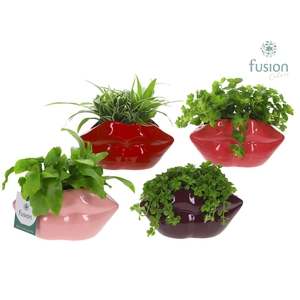Keramiek Lippen planter met Groen planten