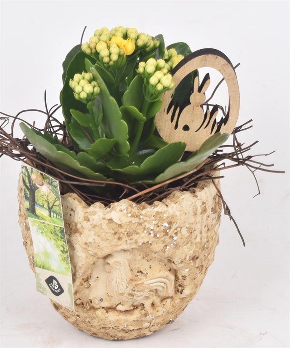 <h4>Cement ei kip decor 11cm</h4>