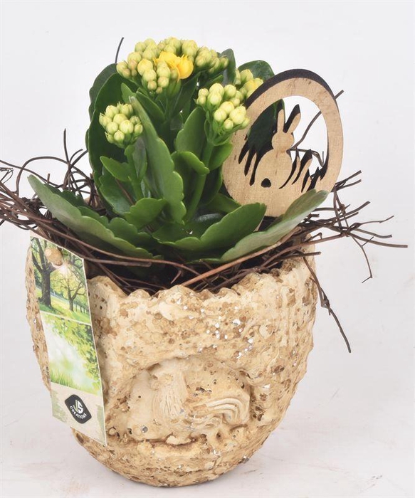 <h4>Cement ei kip decor 11cm</h4>