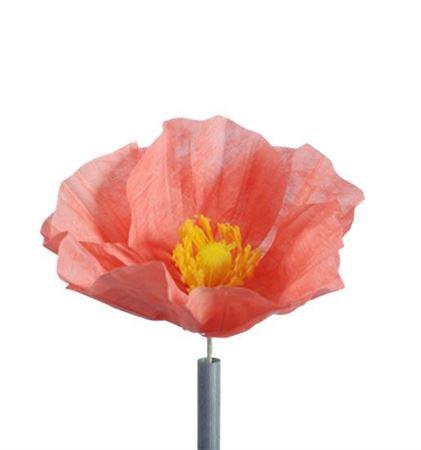 <h4>Stem Poppy Flower L30w30h35</h4>