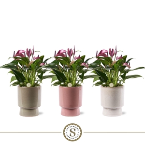 Toulouse Keramiek Zizou