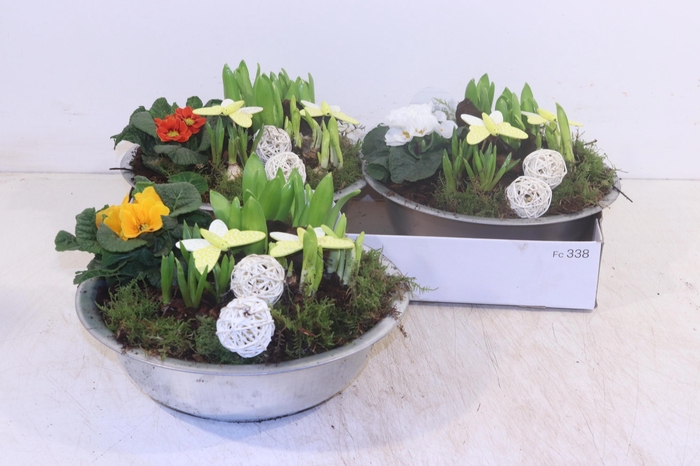 <h4>ARR TUINPLANTEN</h4>