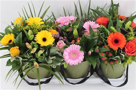<h4>Boeket Romy (mix Tray)</h4>
