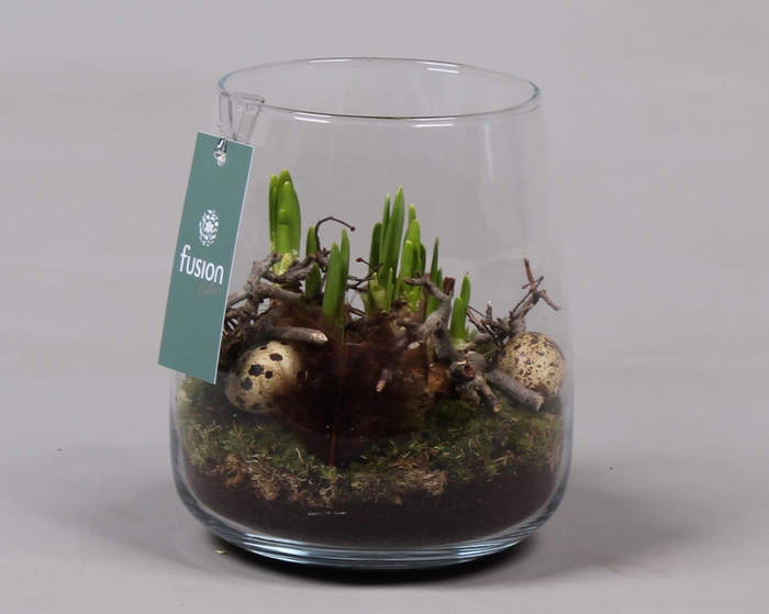 <h4>Glas Alzada met Arrangement Narcis</h4>