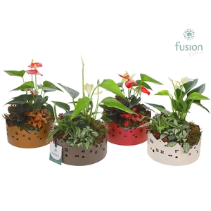 Zinken schaal Huisjes Small met Arrangement