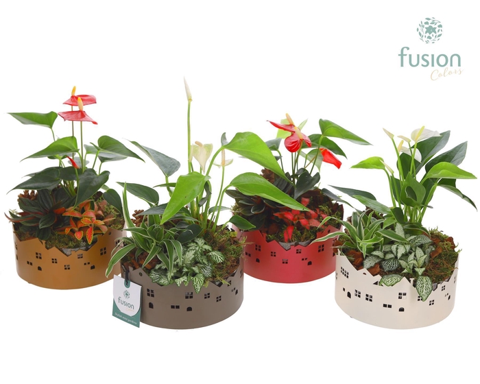 <h4>Zinken schaal Huisjes Small met Arrangement</h4>