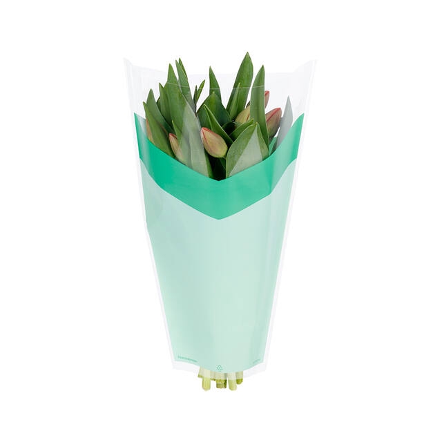 Slv 40x30x12cm OPP35 Arrow green