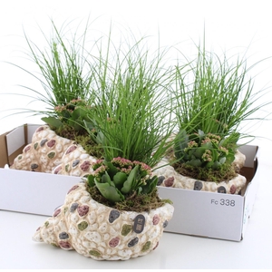 ARR TUINPLANTEN