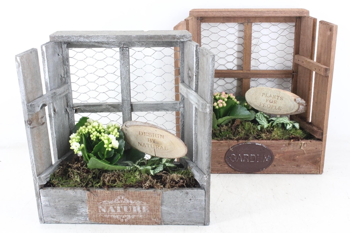 Arr2 Td - Houten Raam - Roze/wit