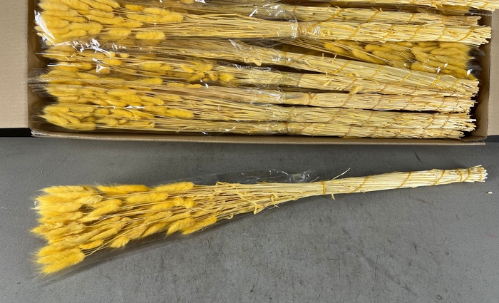 <h4>DF Lagurus Bs 50g/70cm S.Yell</h4>