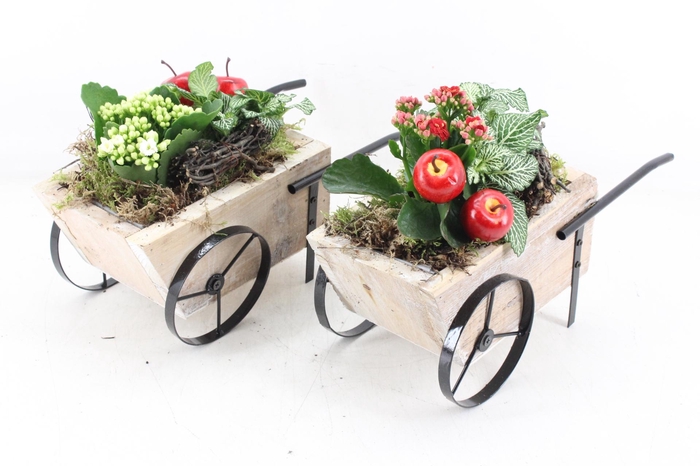 <h4>arr2 TD - Handkar - rood/wit</h4>