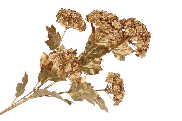 <h4>Silk Dye Gold Viburnum 5x 87cm</h4>