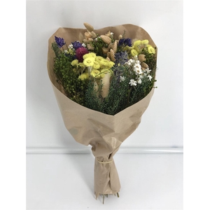 Dr Bq Dried Fantasy Naturale