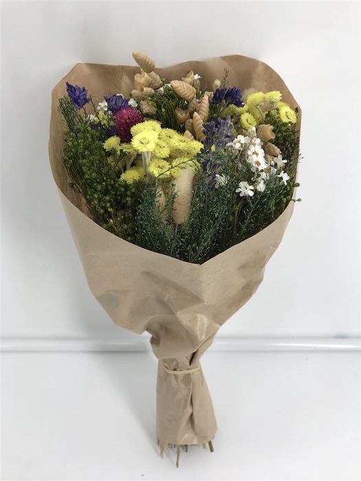 <h4>Dr Bq Dried Fantasy Naturale</h4>