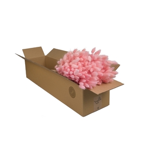 Droogbloemen-Lagurus Pink Pastel