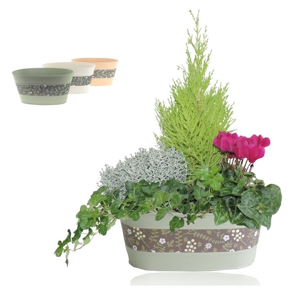 <h4>Collectie Florentina Arrangement in Zinken Schaal Ovaal 26 cm</h4>