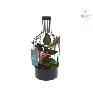 Metaal fles zwart Small met Trendy planten