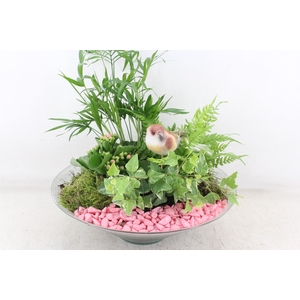 arr2 PL - Glas schaal konisch XL - roze