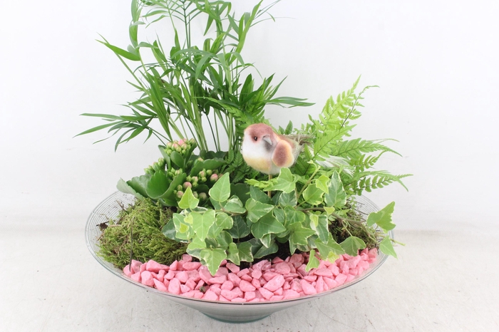 <h4>arr2 PL - Glas schaal konisch XL - roze</h4>