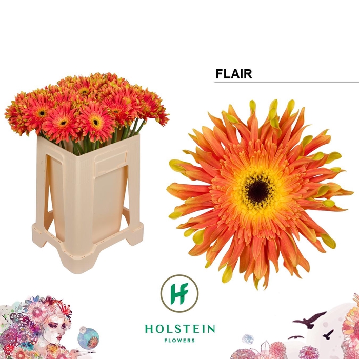 <h4>GE KV GERPASTA FLAIR</h4>