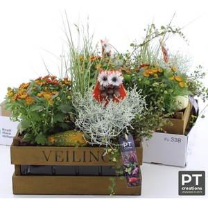 ARR TUINPLANTEN