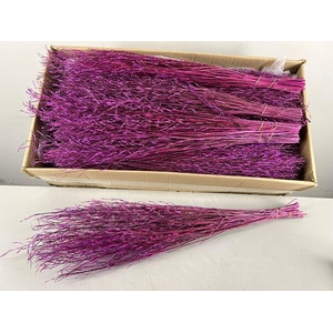 Df Saras Grass 50gr Burgundy