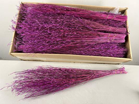 <h4>Df Saras Grass 50gr Burgundy</h4>