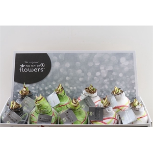 Wax Hipp Art Van Gogh Mix