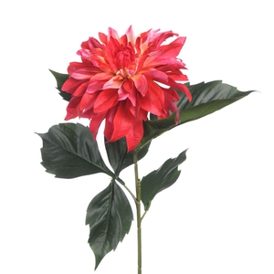 Af Dahlia Spider L84cm Pink