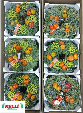<h4>Sierfruit Krans H%</h4>