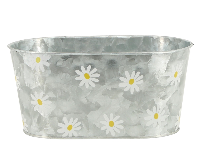 <h4>H0035: Hardwaress zink</h4>