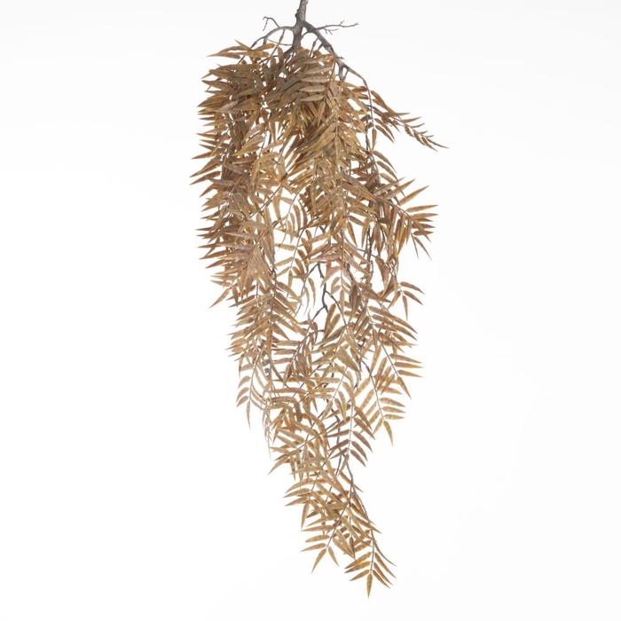 <h4>AF Chicco Hng Bush L79cm Brown</h4>