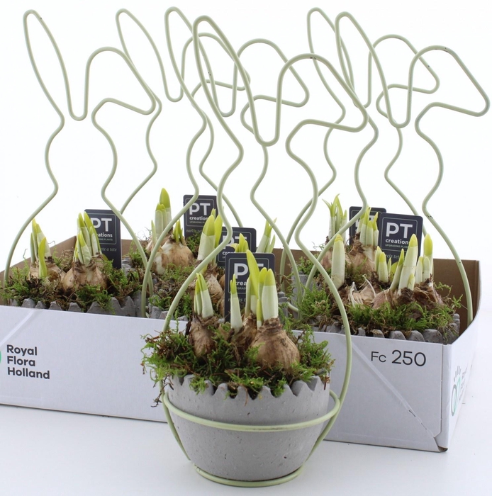 <h4>ARR N TETE A TETE</h4>