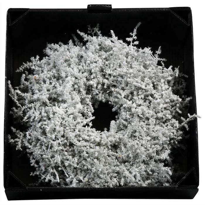 <h4>Krans Asparagus Wax</h4>