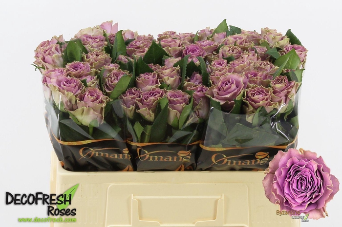 <h4>R Gr Byzantine</h4>