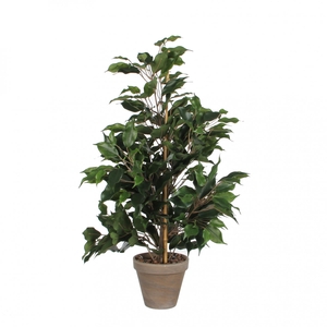 Kunstplanten Pot Ficus exotica d13/40*65cm