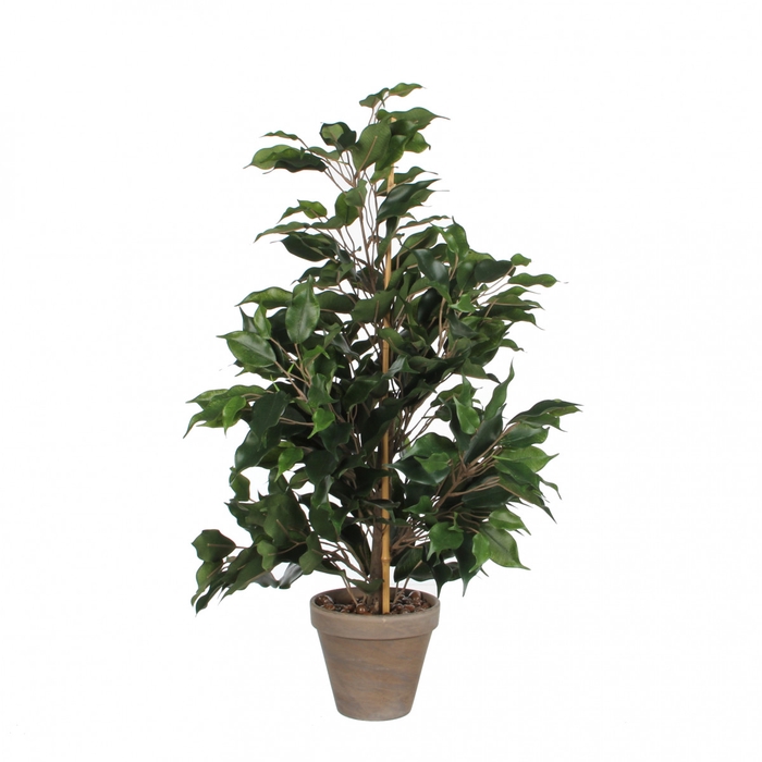 Artificial plants Pot Ficus exotica d13/40*65cm