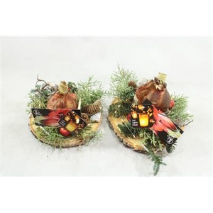 K578 LED+ 1 AMAR OP SCHIJF