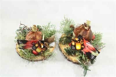 <h4>K578 LED+ 1 AMAR OP SCHIJF</h4>