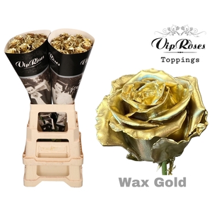 R GR WAX GOLD x20