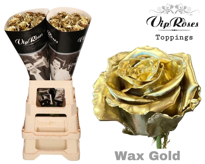 <h4>R GR WAX GOLD x20</h4>