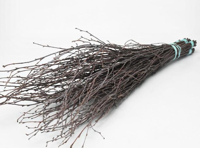 <h4>BERKENTAKKEN</h4>