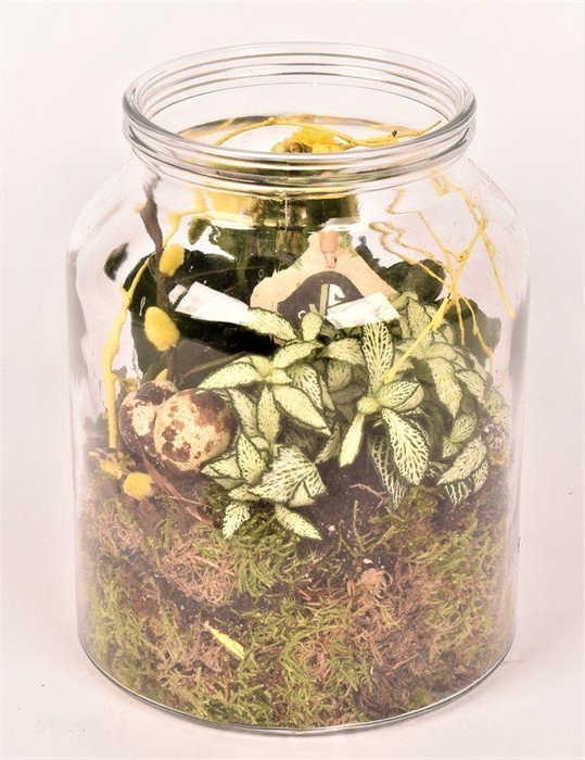 <h4>Glas cilinder met hals 18cm</h4>