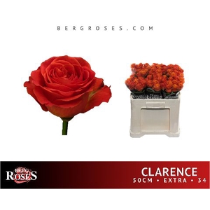 R Gr Clarence Berg A2