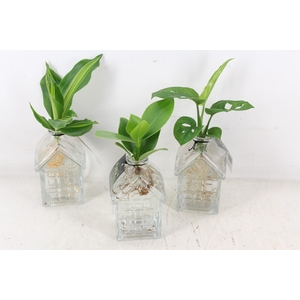 arr3 VDE - Glas Oslo