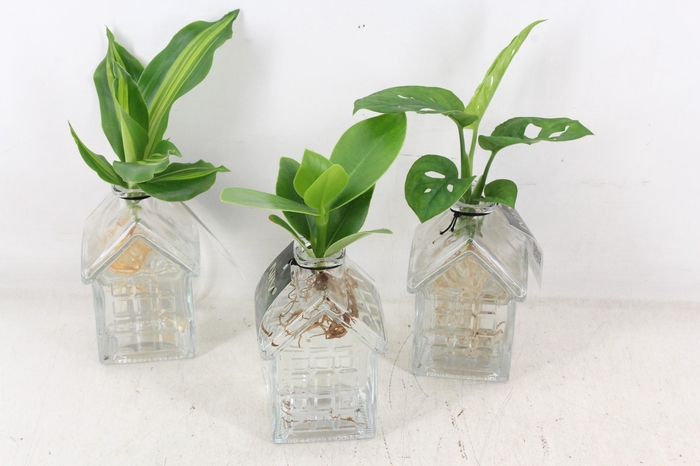 <h4>arr3 VDE - Glas Oslo</h4>