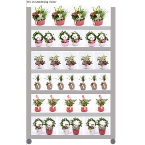 Mix CC Moederdag Indoor