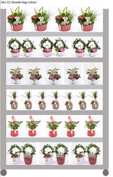 <h4>Mix CC Moederdag Indoor</h4>