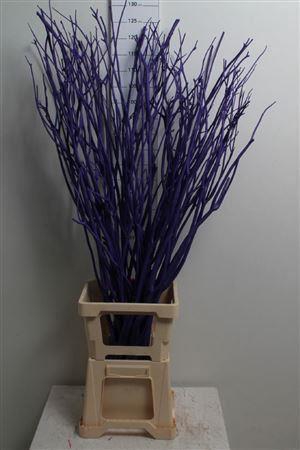 <h4>Mitsumata Col Paars</h4>